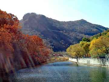 正版澳门天天开彩大全，秀山土家族苗族自治seo软件